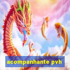 acompanhante pvh